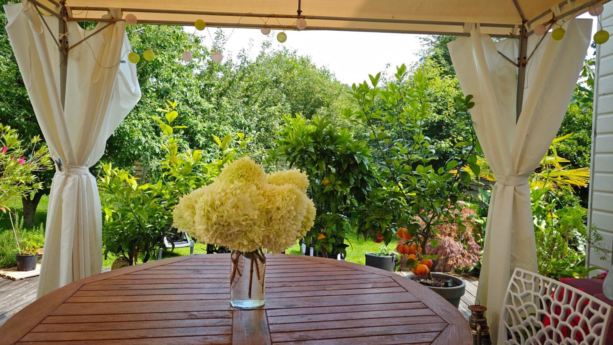 Maison Avec Spa En Bord De Mer Logonna-Daoulas Exterior foto